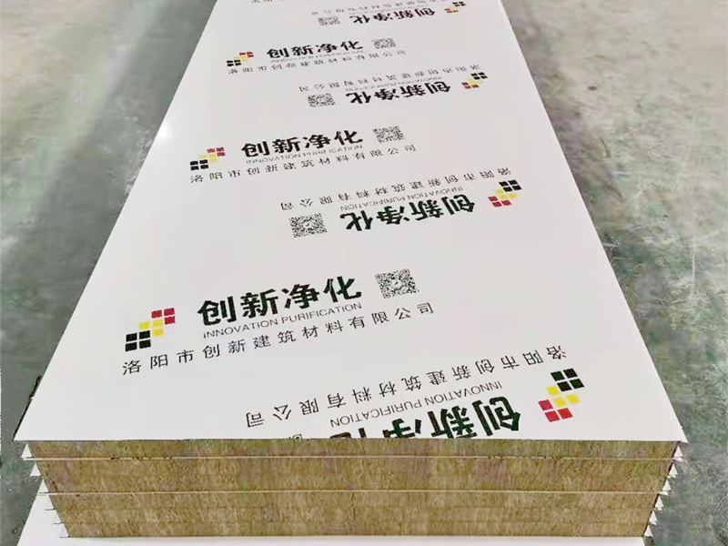 岩棉彩鋼淨化板